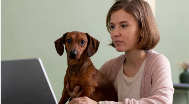 When To Choose Online Dog Training Courses Over Offline