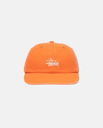  Stüssy Caps, A Fashion Icon