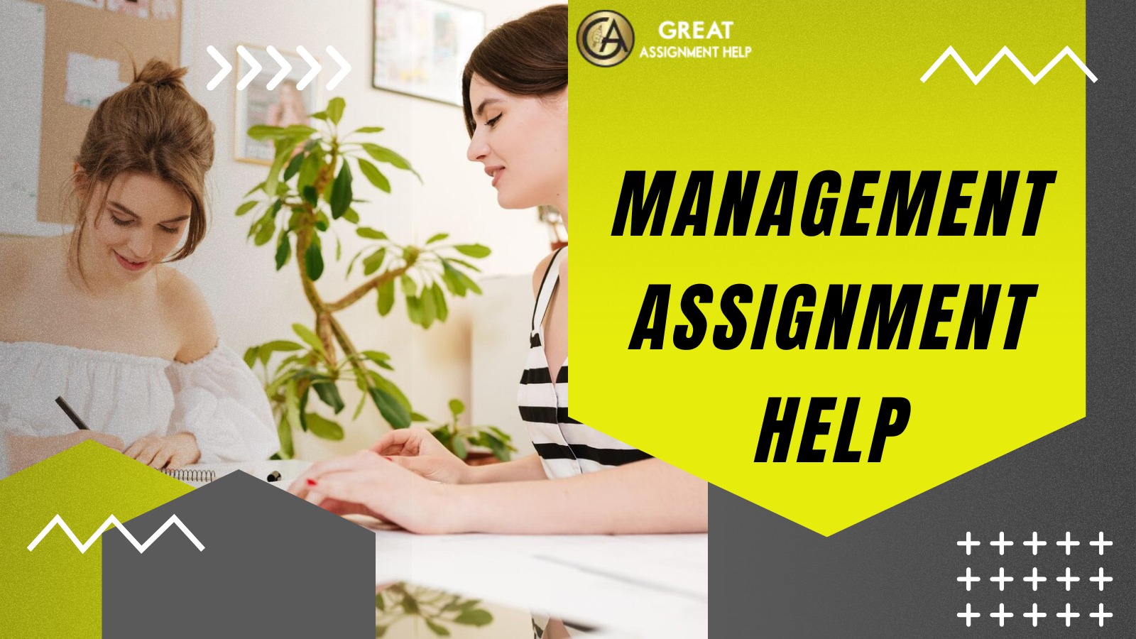 How can students use risk management assignment help in the United States for completing the assignments faster?